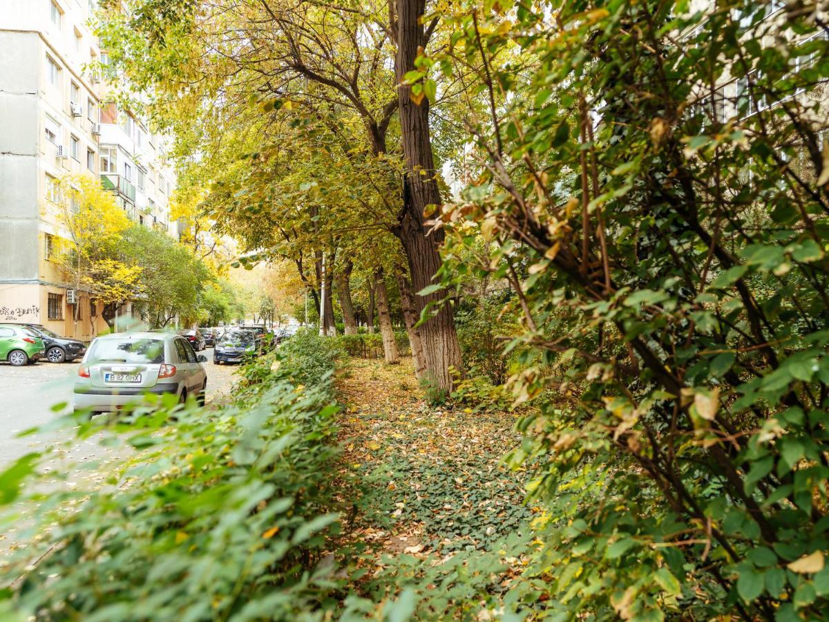 Woody - Cozy And Quiet Place Near Moghioros Park Boekarest Buitenkant foto